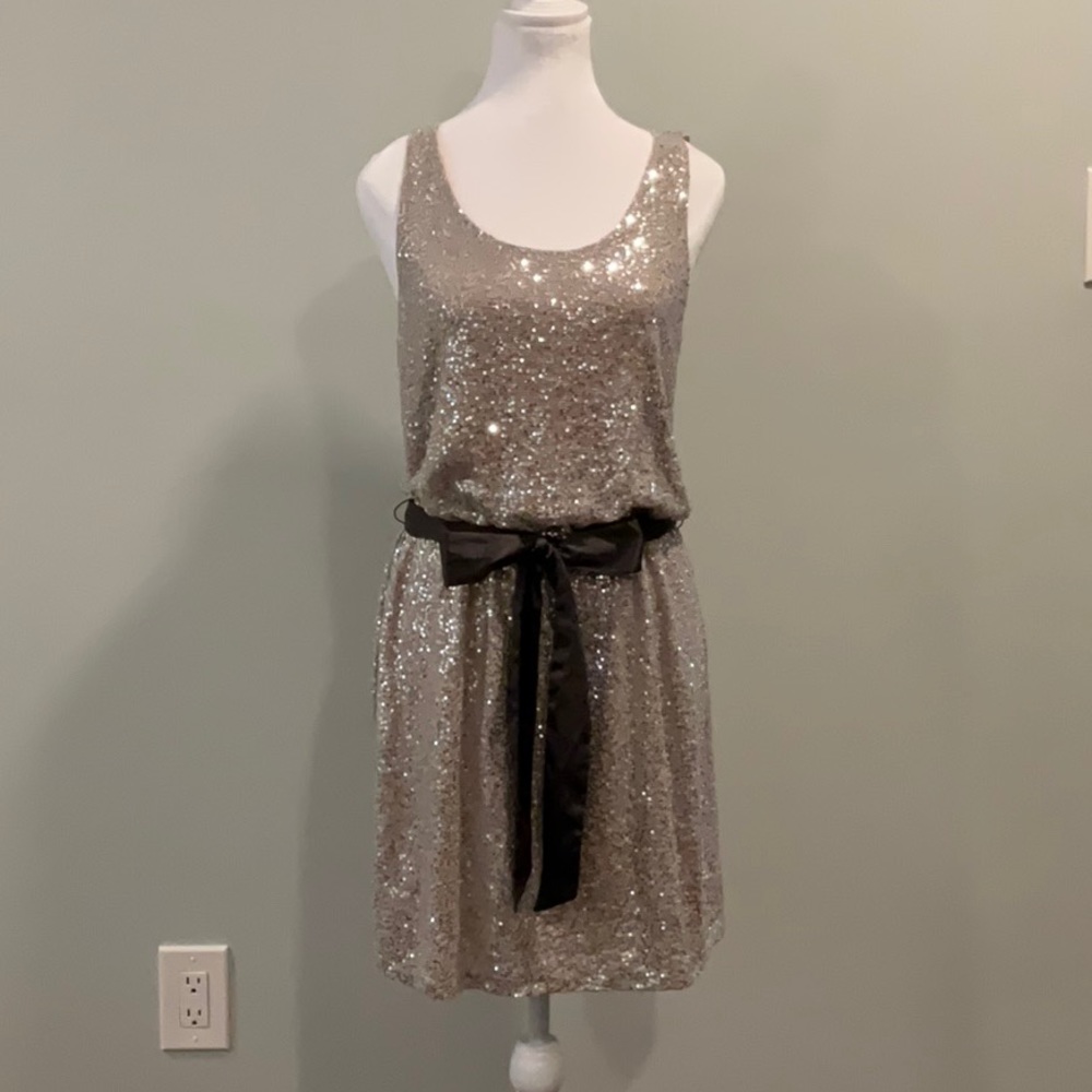 Express Dress. Size Small. Sparkling